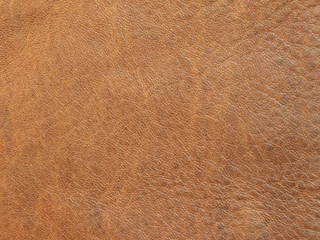 light leather background