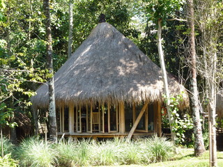 maison de bambou
