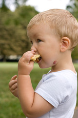 Little boy eating