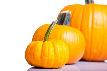 Ripe pumpkin fruits isolated on white