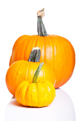 Ripe pumpkin fruits isolated on white