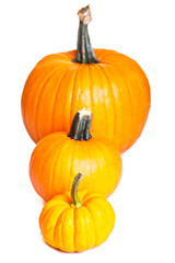 Ripe pumpkin fruits isolated on white