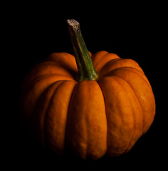 Ripe pumpkin fruits isolated on balck