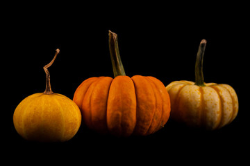 Ripe pumpkin fruits isolated on balck