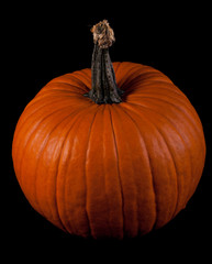 Ripe pumpkin fruits isolated on balck