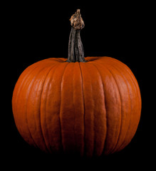Ripe pumpkin fruits isolated on balck