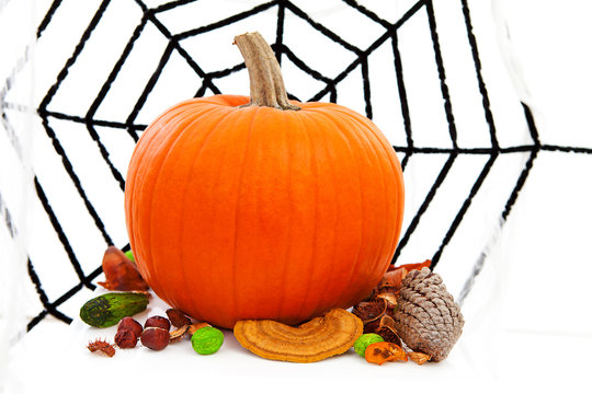 halloween pumpkin and spider web