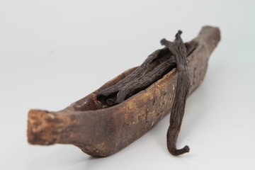 Obraz premium gousse de vanille