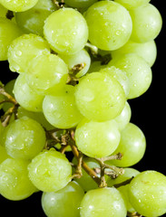 Grapes