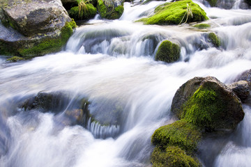 lovely and magical water stream