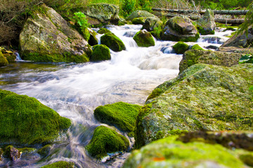 Fototapeta premium lovely and magical water stream