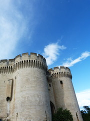 Fototapeta na wymiar Fortezza di Villeneuve Lez Avignon, Francia