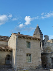 Certosa di Villeneuve les Avignon, Francia