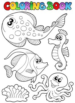 Coloring book with sea animals 3