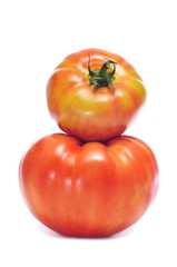 tomatoes