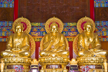 Fototapeta premium set of Buddha image by Chinese style