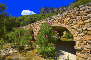 italie; sardaigne; ogliastra : pont en pierre dans la montagne
