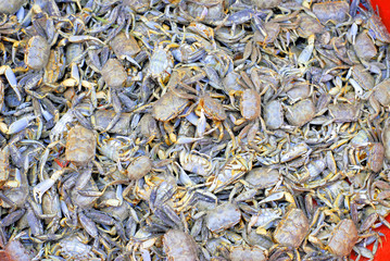 Xiamen_Street market crabs basket