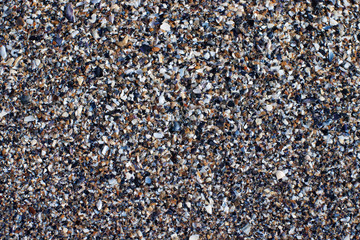 Closeup of broken seashells on a beach