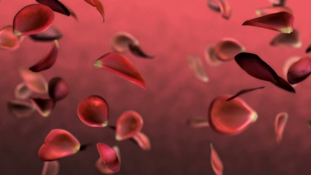 Rosenregen vor Hintergrund