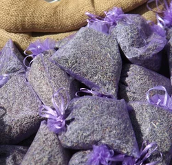 Fotobehang Lavendel Sachets de lavande  © Studio Catlady