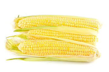 Three yellow corn on the cob