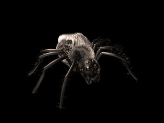 horror spinne gruselig