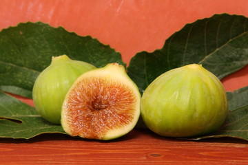 Fichi - Figs