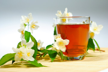 jasmine tea with jasmine flowers
