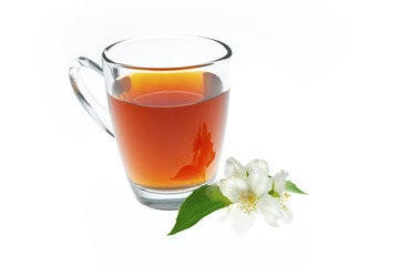 jasmine tea with jasmine flower