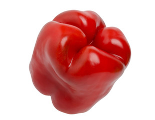 Red Bulgarian pepper