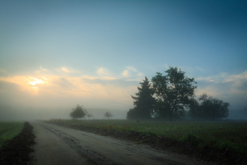 Foggy footpath in morning