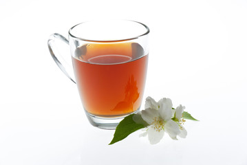 tea with jasmine flower