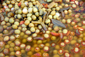 Pickled vegetables from Spain