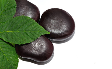 Black stones and a leaf