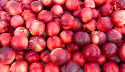 White nectarines on display