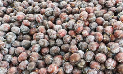 Prune plums on display