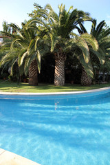 Swimming pool in a residential houses in Godella Valencia Spain