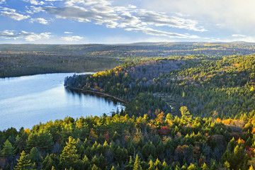 Fall forest and lake top view