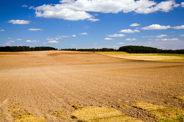plowed field