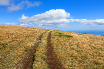 path on mountain field