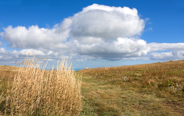 autumn landscape in mountains