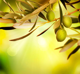 Olives