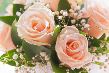 Close-up of the rosebud
