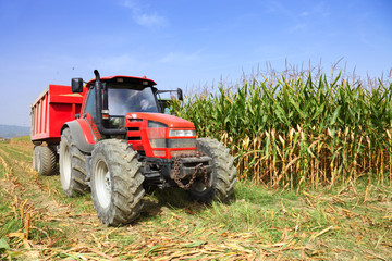 Agriculture, farming  tractor - 35318603