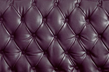 Photo sur Plexiglas Cuir cuir véritable violet