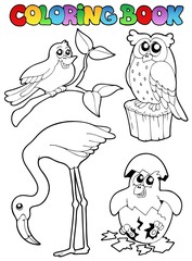 Naklejka premium Coloring book with birds