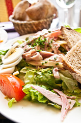 Fresh chicken salad with tomatoes