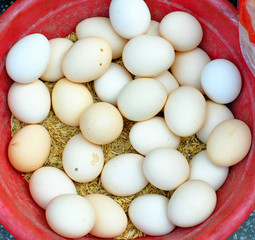 Xiamen _China street market eggs