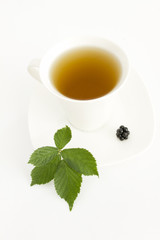Brombeertee (Rubus fruticosus)